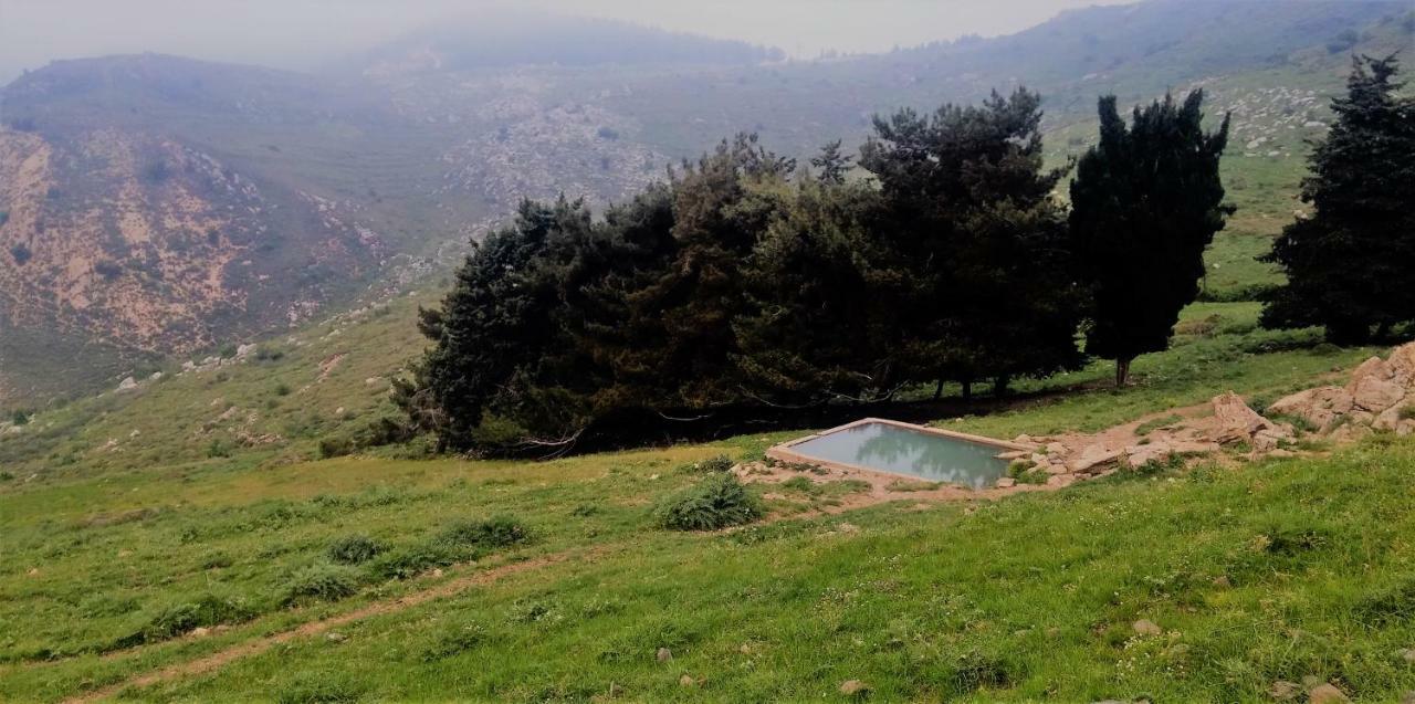 הוילה נמרוד בקתות שיא הר מראה חיצוני תמונה