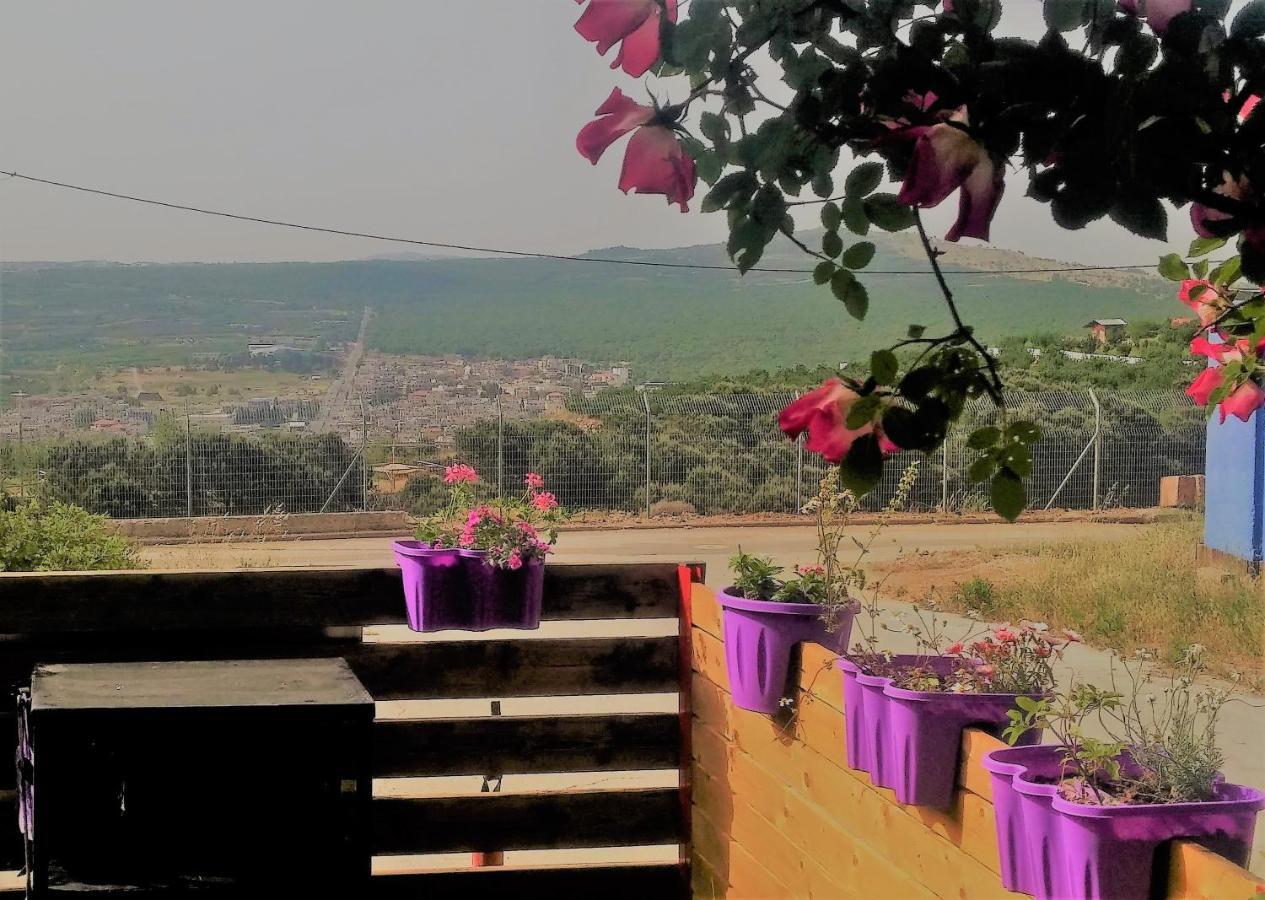 הוילה נמרוד בקתות שיא הר מראה חיצוני תמונה